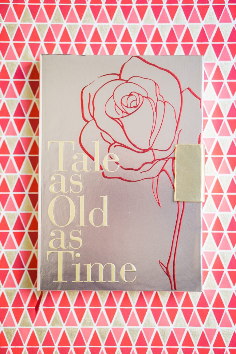 LORAC Beauty and the Beast Palette - Review Swatches Tutorial