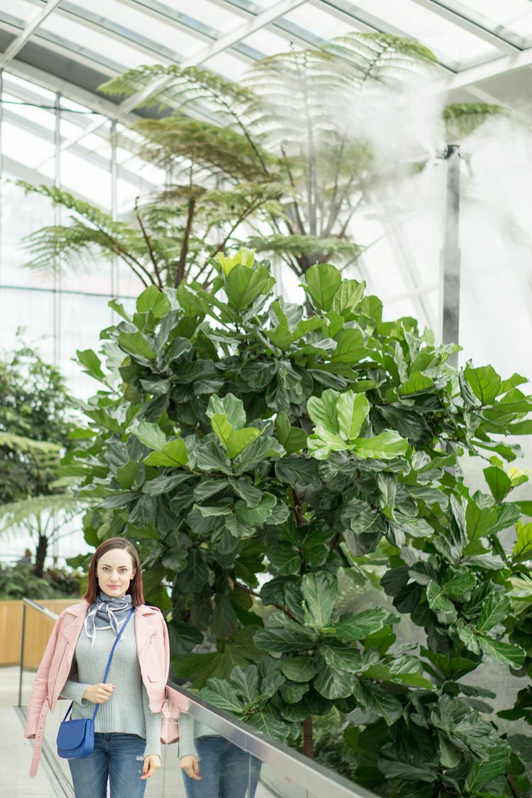 Sky Garden